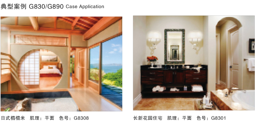 泰斯特素米礫灰泥G830/G890系列產品典型案例