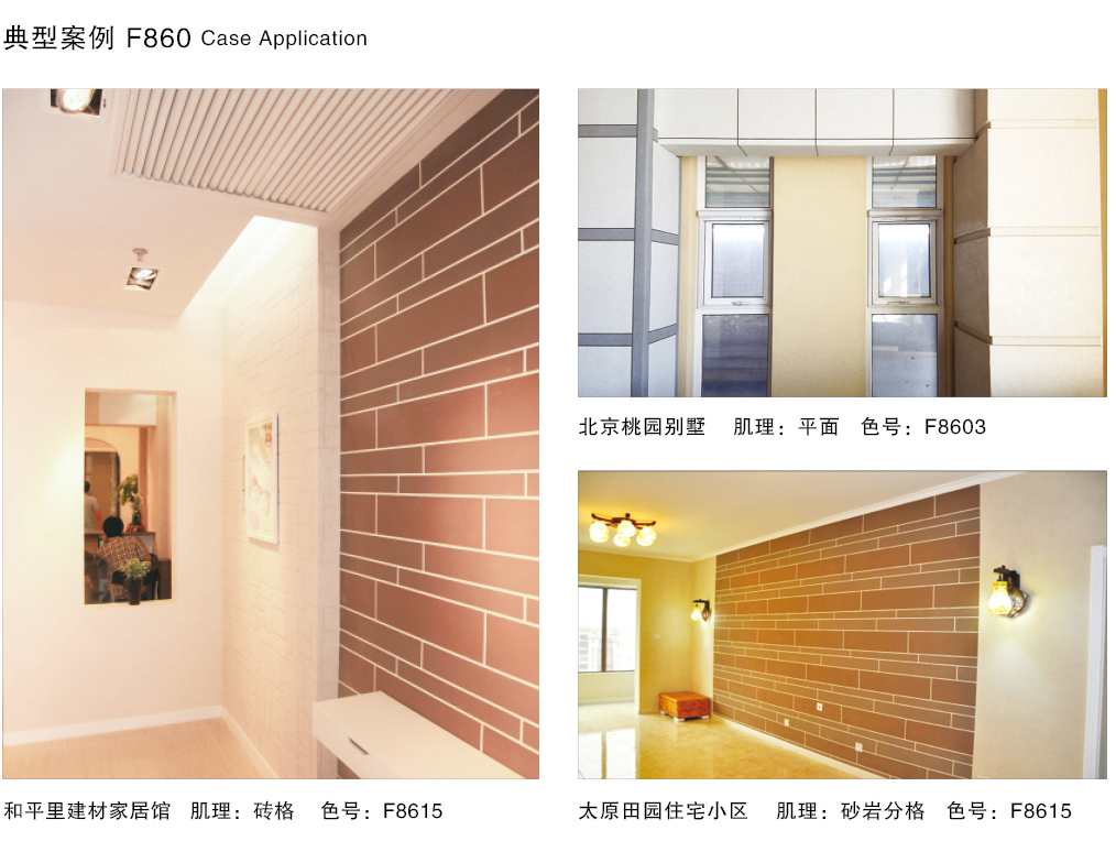 泰斯特細金砂F860系列產品典型案例