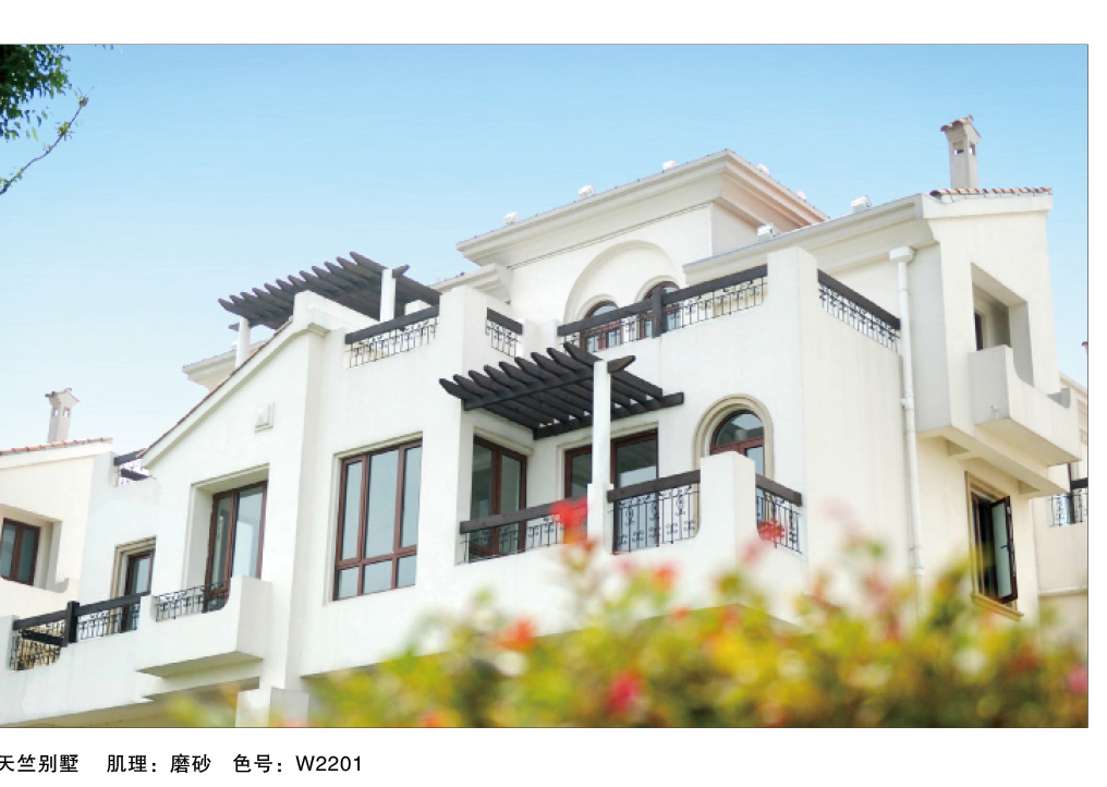 泰斯特愛丁堡灰泥外墻W220系列產品 典型案例
