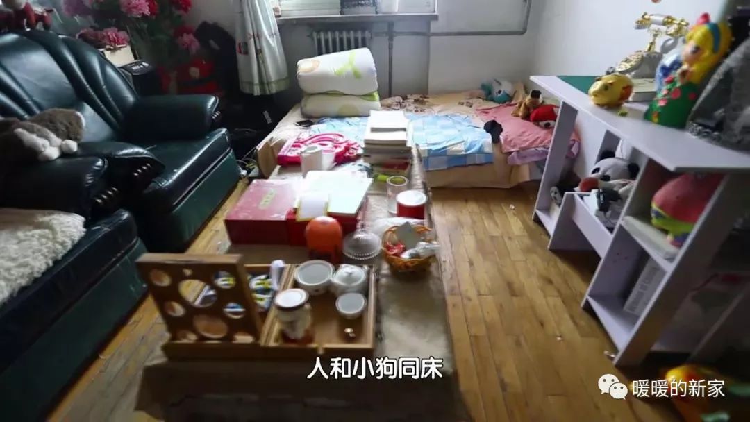 泰斯特灰泥攜手BTV打造《暖暖的新家》